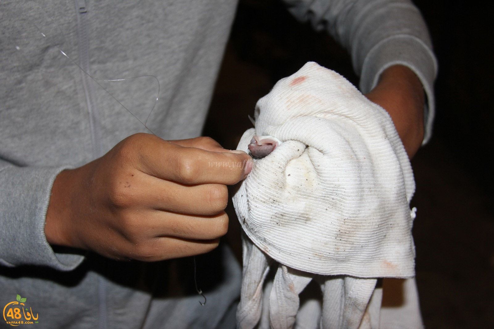 mina2 hsayaffa (33).jpeg